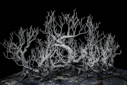 Procedural Trees Generation
